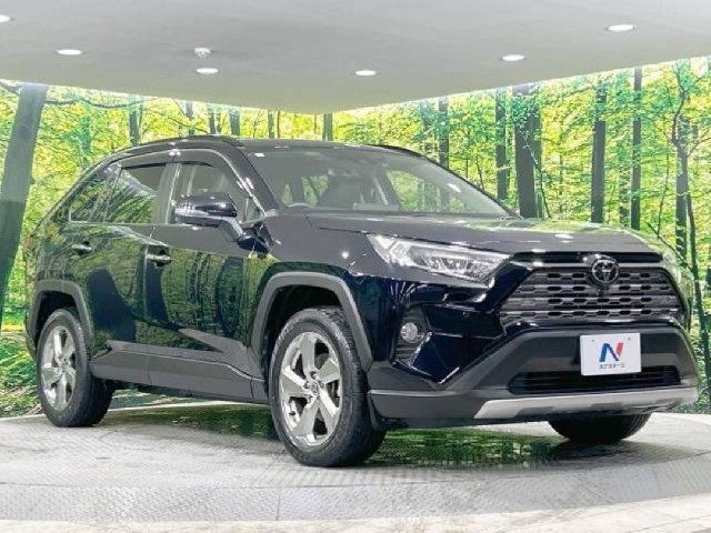 TOYOTA RAV-4 2021 Image 23