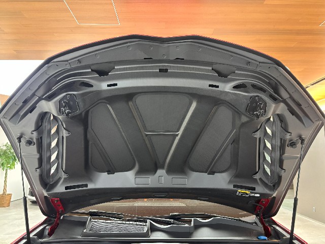 LAMBORGHINI URUS 2023 Image 52