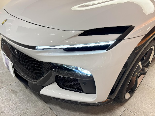 FERRARI PUROSANGUE 2024 Image 21