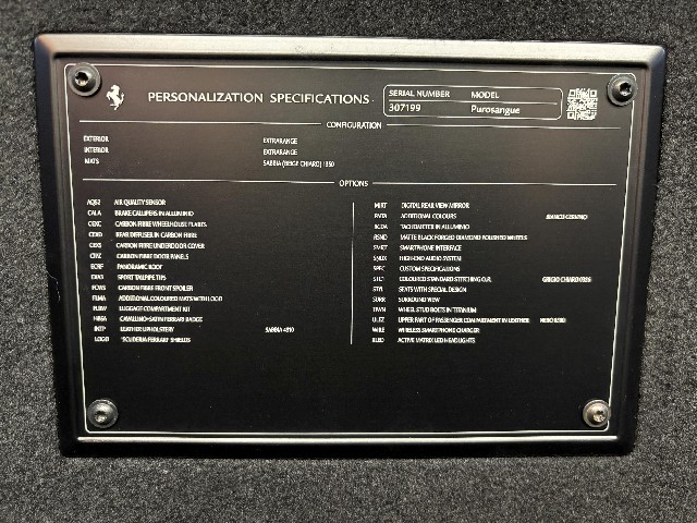 FERRARI PUROSANGUE 2024 Image 32