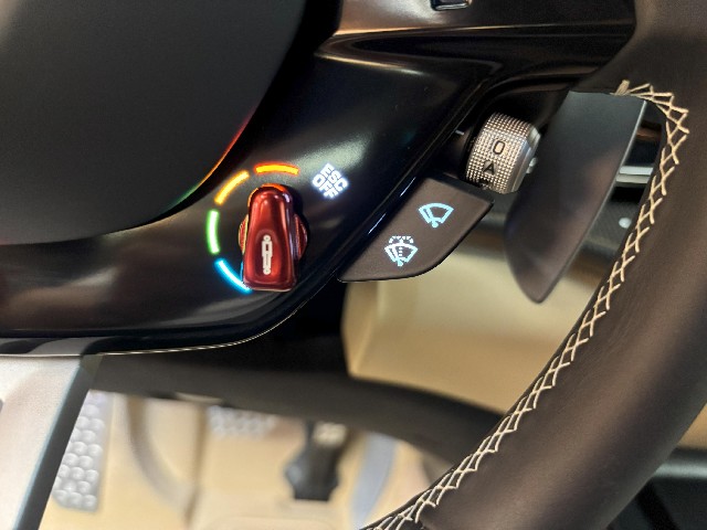 FERRARI PUROSANGUE 2024 Image 44