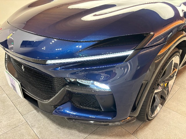 FERRARI PUROSANGUE 2024 Image 21