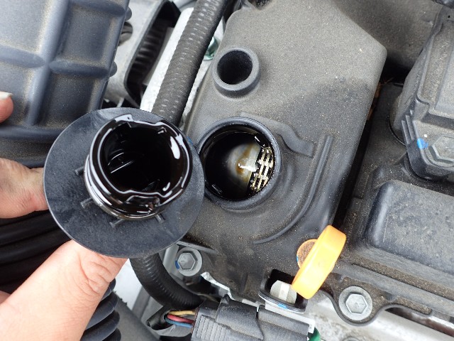 SUZUKI SWIFT 2021 Image 22