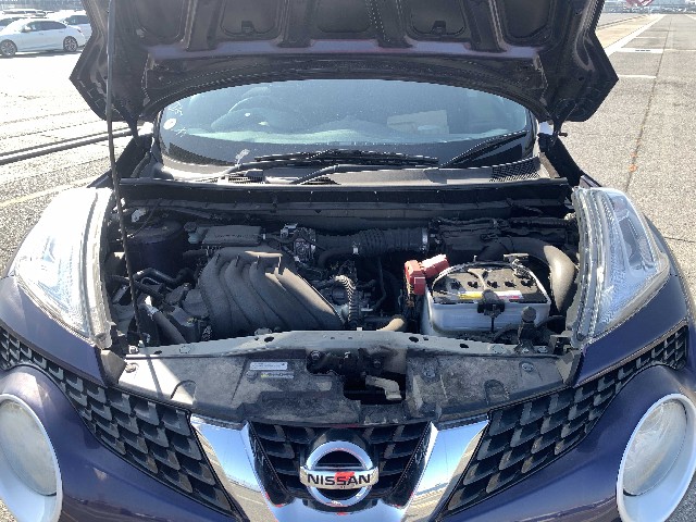 NISSAN JUKE 2016 Image 29