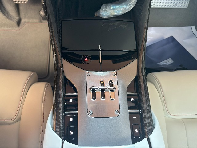 FERRARI PUROSANGUE 2024 Image 48