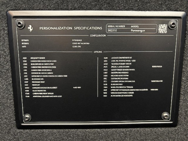 FERRARI PUROSANGUE 2024 Image 35