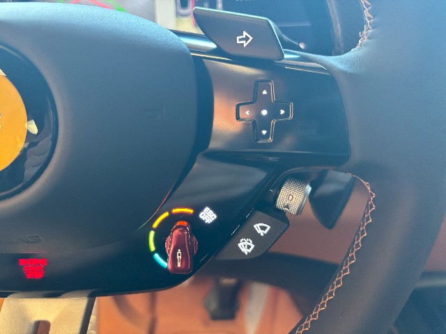 FERRARI PUROSANGUE 2024 Image 47