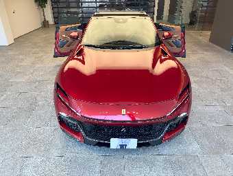 FERRARI PUROSANGUE 2024 Image 10