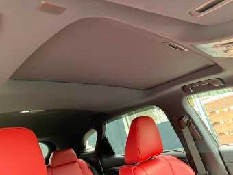 LEXUS RX 450h 2022 Image 35
