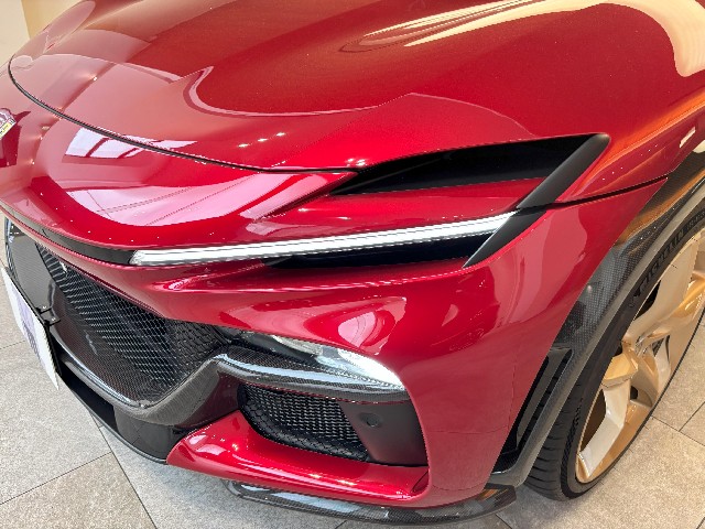 FERRARI PUROSANGUE 2024 Image 23