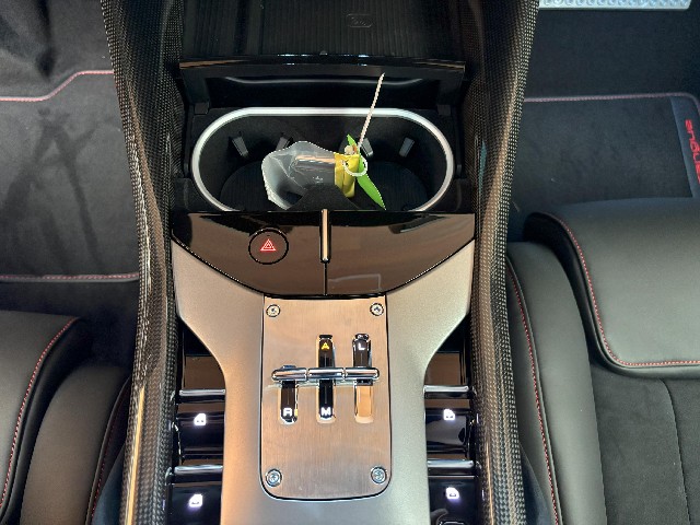 FERRARI PUROSANGUE 2025 Image 50