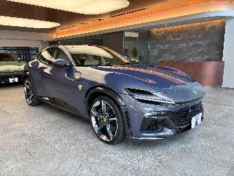 FERRARI PUROSANGUE 2025 Image 3