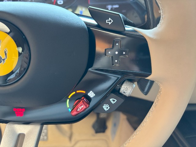 FERRARI PUROSANGUE 2025 Image 33