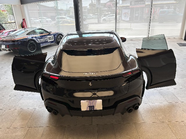 FERRARI PUROSANGUE 2025 Image 20