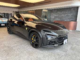 FERRARI PUROSANGUE 2025 Image 3