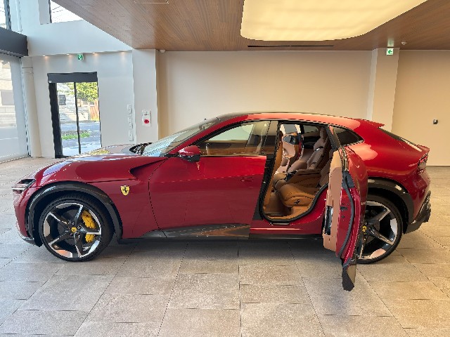FERRARI PUROSANGUE 2025 Image 22