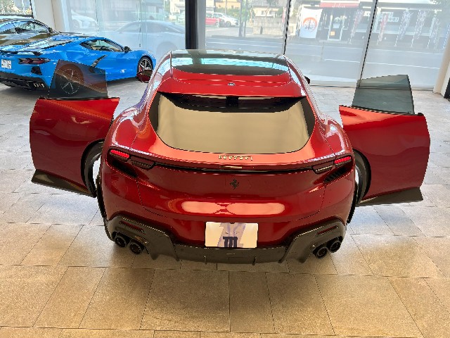 FERRARI PUROSANGUE 2025 Image 24