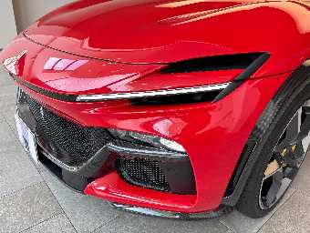 FERRARI PUROSANGUE 2025 Image 17