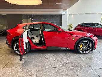 FERRARI PUROSANGUE 2025 Image 5