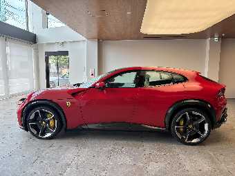 FERRARI PUROSANGUE 2025 Image 9