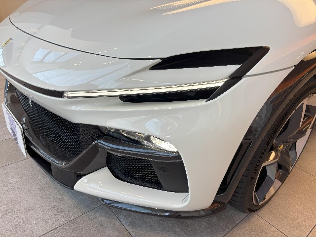 FERRARI PUROSANGUE 2025 Image 22