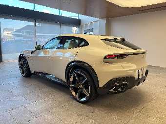 FERRARI PUROSANGUE 2025 Image 8