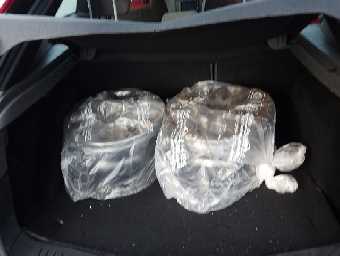 FORD FOCUS 2006 Image 10