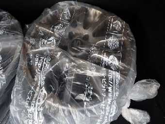 FORD FOCUS 2006 Image 11