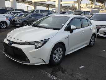 TOYOTA COROLLA 2020 Image 1