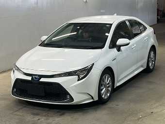 TOYOTA COROLLA 2020 Image 1