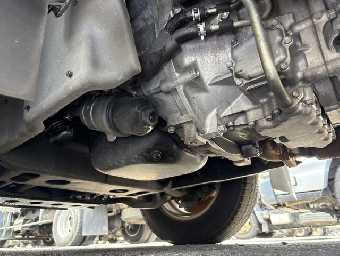 ISUZU ELF TRUCK 2020 Image 10