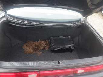 TOYOTA MARK II 1993 Image 13