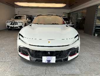 FERRARI PUROSANGUE 2025 Image 2