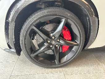 FERRARI PUROSANGUE 2025 Image 11