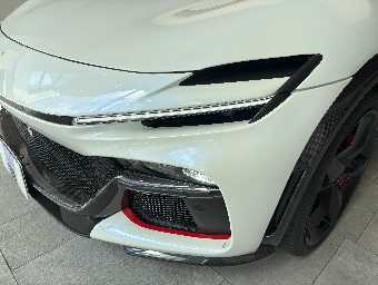 FERRARI PUROSANGUE 2025 Image 15