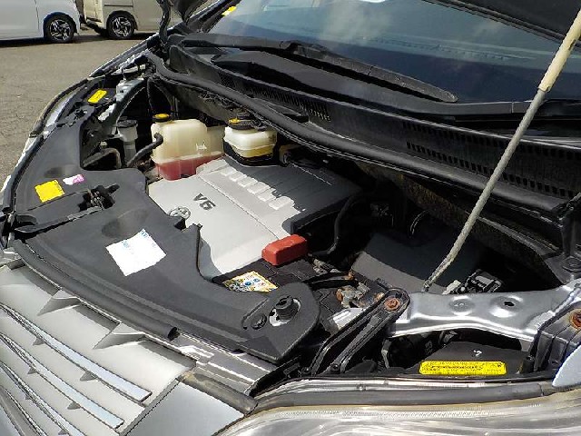 TOYOTA ALPHARD 2009 Image 30