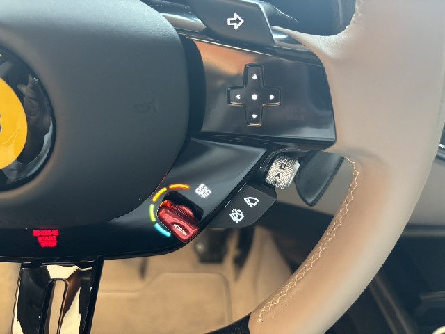 FERRARI PUROSANGUE 2024 Image 45