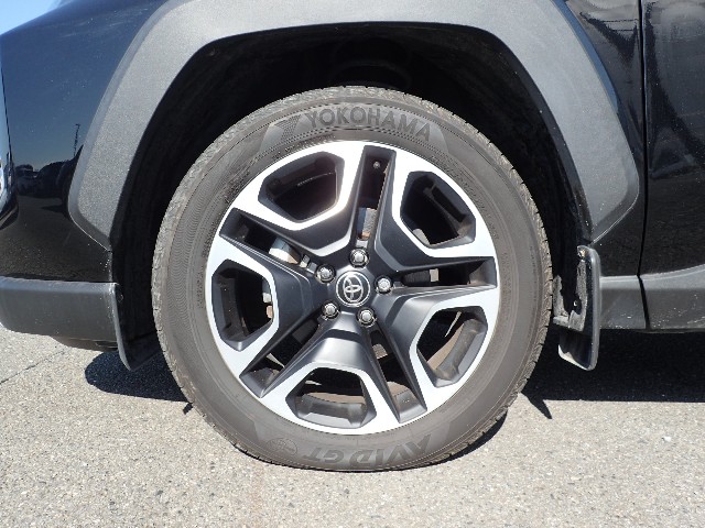 TOYOTA RAV-4 2021 Image 48