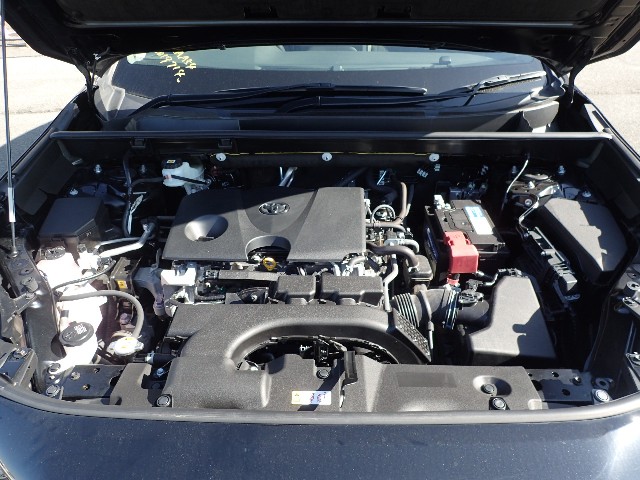 TOYOTA RAV-4 2021 Image 61