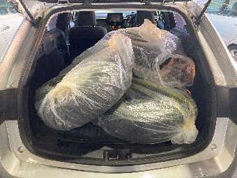 TOYOTA COROLLA TOURING 2020 Image 9