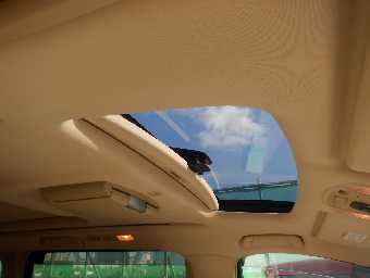 TOYOTA ALPHARD 2009 Image 11