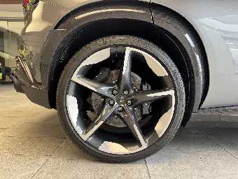 FERRARI PUROSANGUE 2024 Image 15