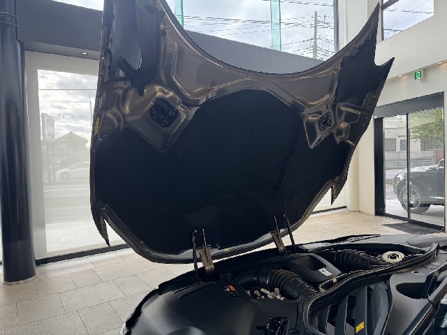 FERRARI PUROSANGUE 2024 Image 73