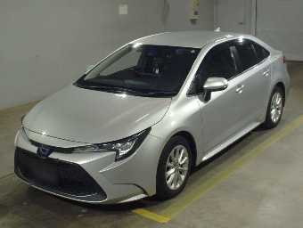 TOYOTA COROLLA 2020 Image 1