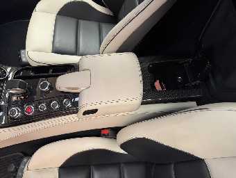 MERCEDES BENZ SLS AMG 2011 Image 50