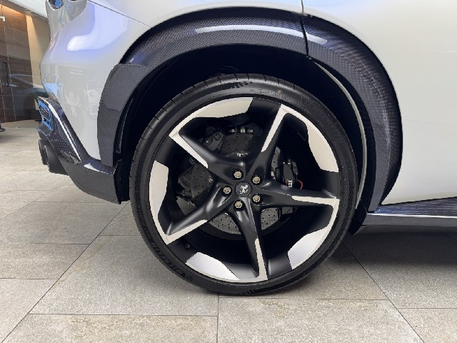 FERRARI PUROSANGUE 2026 Image 33