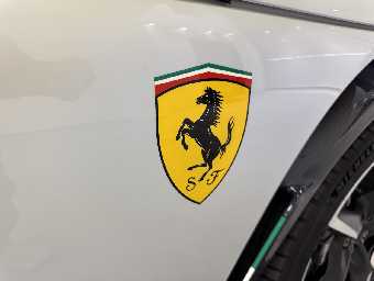 FERRARI PUROSANGUE 2026 Image 39