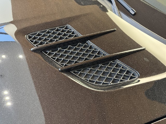 MERCEDES BENZ SLS AMG 2010 Image 31