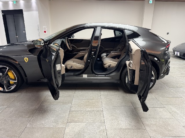 FERRARI PUROSANGUE 2025 Image 19