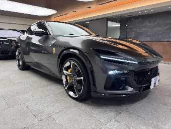 FERRARI PUROSANGUE 2025 Image 3